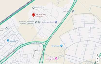 google map image